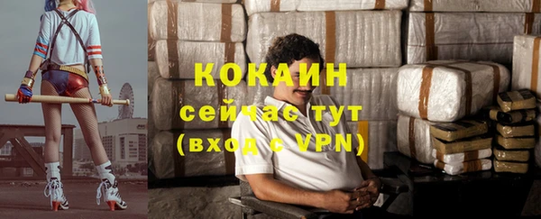 Альфа ПВП Аркадак