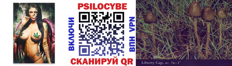 Псилоцибиновые грибы Psilocybe  как найти закладки  Усть-Джегута 