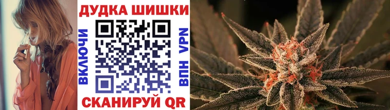 купить   Усть-Джегута  Бошки марихуана план 